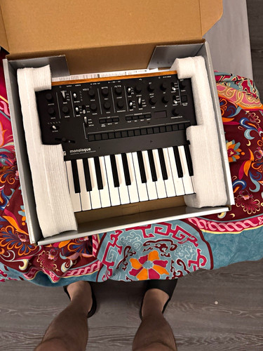 Korg monologue analogue - korg,